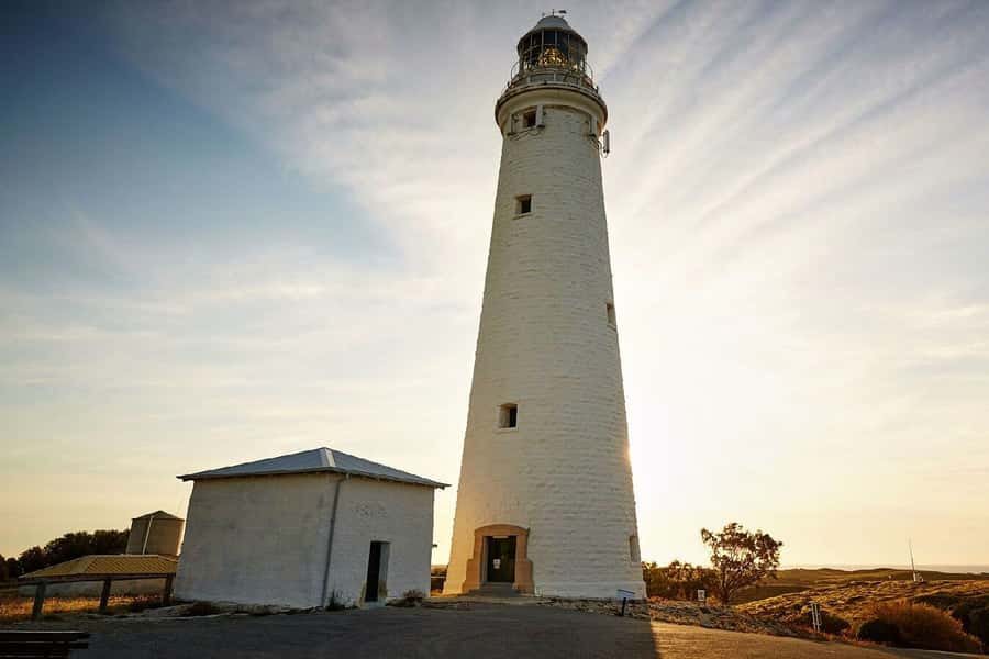 From Perth or Fremantle: Rottnest Island Ferry and Bus Tour - Is the bus better than hiring a bike?