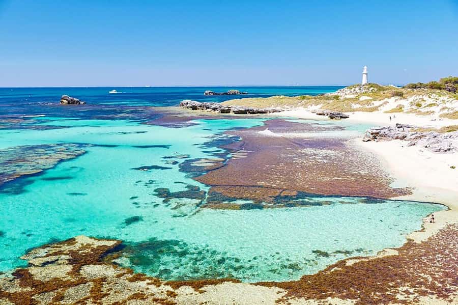 From Perth or Fremantle: Rottnest Island Ferry and Bus Tour - Choosing Perth or Fremantle for the ferry