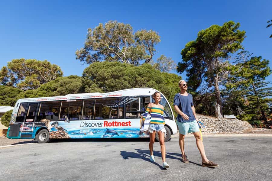 From Perth: Rottnest Island Ferry & Bus Day Tour - Key points at a glance