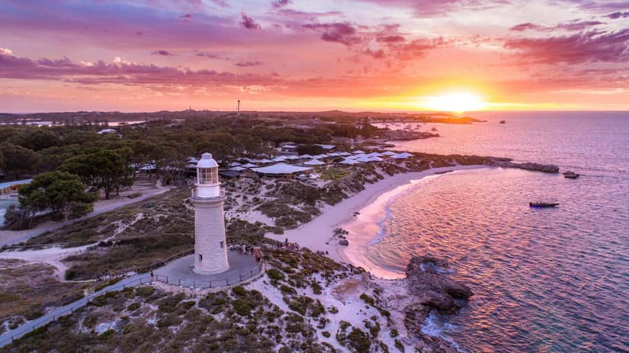 From Perth: Rottnest Island Ferry & Bus Day Tour - Arriving at Thomson Bay and finding the coach