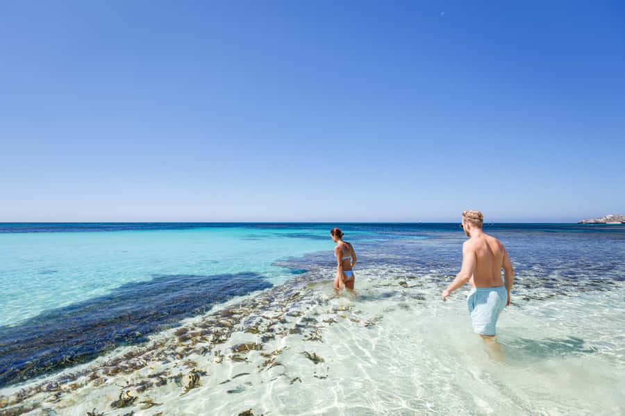 From Perth: Rottnest Island Ferry & Bus Day Tour - The 8:45am departure from Perth