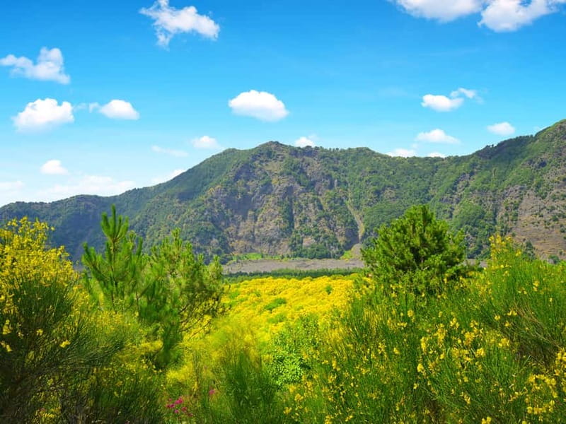 From Pompeii: Mount Vesuvius Hike & Tour by Bus - The 40-minute ride to the volcano