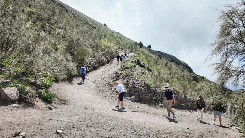 From Pompeii: Mount Vesuvius with bus, ticket and audioguide - Spending 110 minutes inside Vesuvius National Park