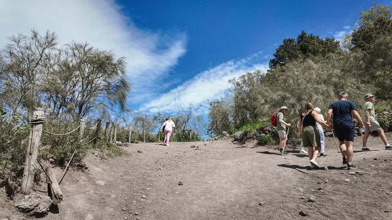 From Pompeii: Mount Vesuvius with bus, ticket and audioguide - Who will get the most from this outing