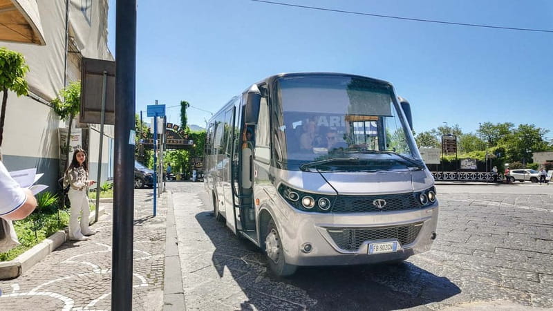From Pompeii: Mount Vesuvius with bus, ticket and audioguide - Starting at Hotel Vittoria in Pompeii