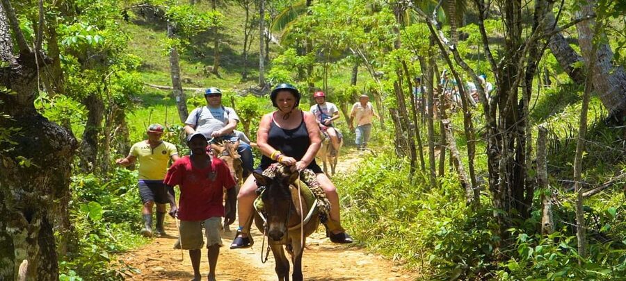 From Punta Cana: Samana Full Day Trip by Bus and Boat - El Limón Waterfall and time in the river