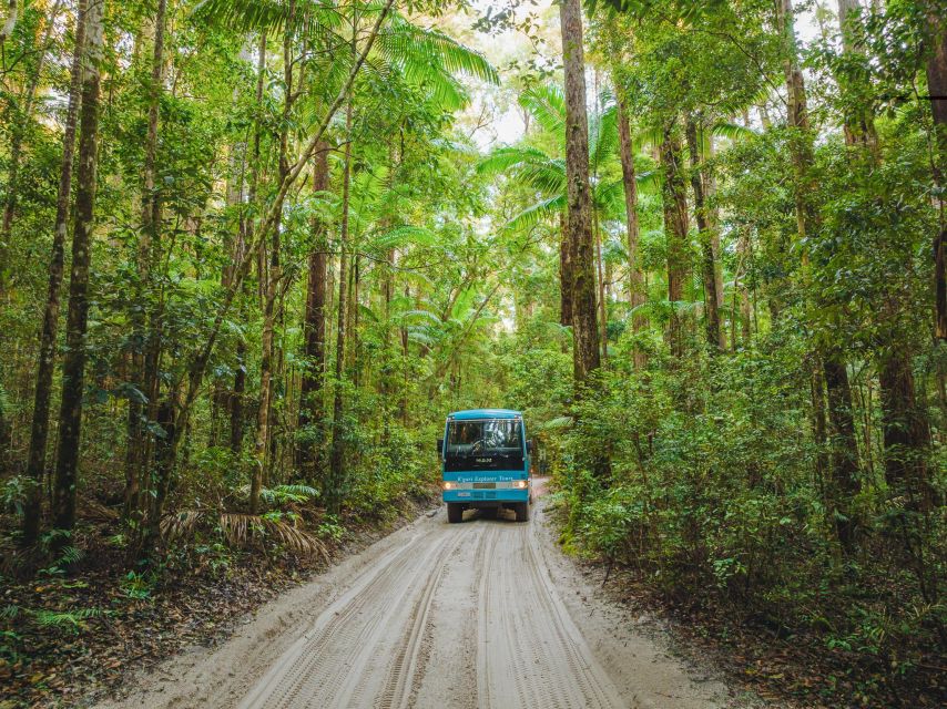 From Rainbow Beach: K'gari Fraser Island Full-Day Coach Tour - Is $184 good value?
