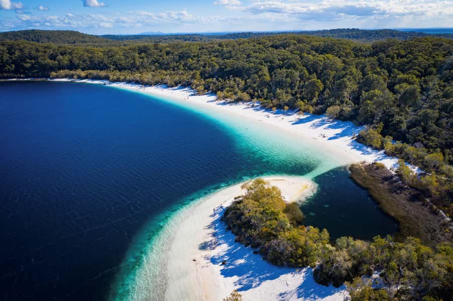 From Rainbow Beach: K'gari Fraser Island Full-Day Coach Tour - Lake McKenzie: the day’s essential swim