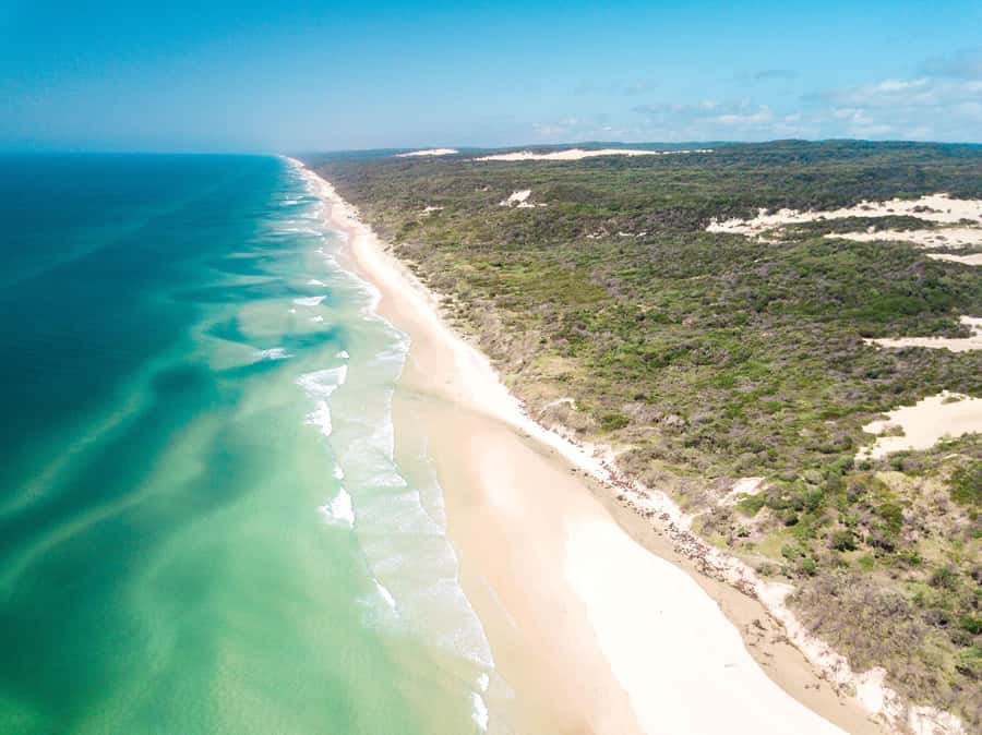From Rainbow Beach: K'gari Fraser Island Full-Day Coach Tour - The rainforest ride and the rough road reality