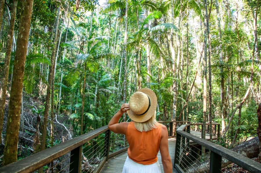 From Rainbow Beach: K'gari Fraser Island Full-Day Coach Tour - Lunch at K’gari Beach Resort