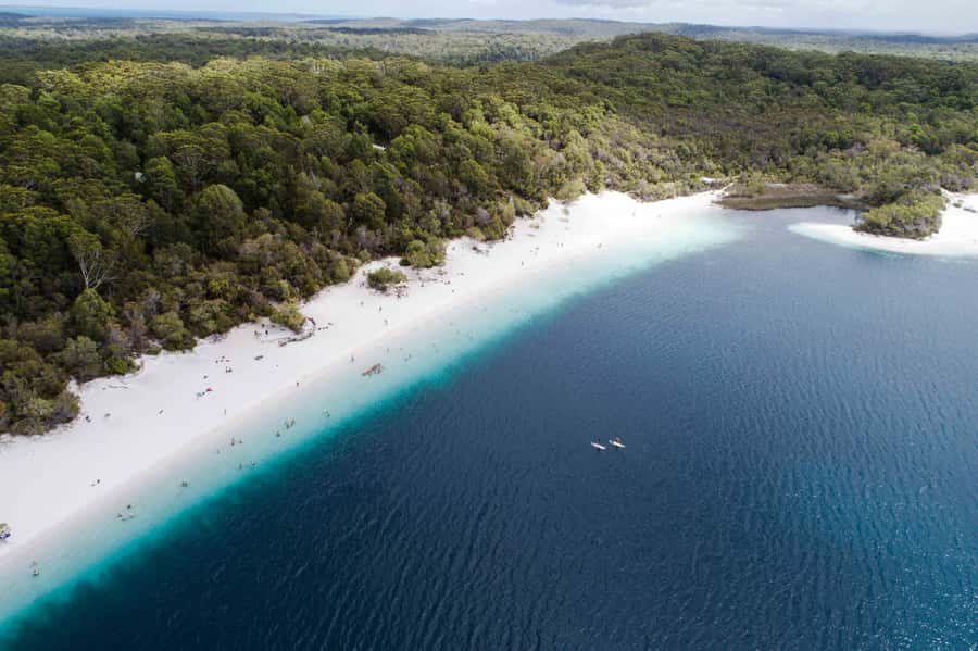 From Rainbow Beach: K'gari, Fraser Island Two-Day Coach Tour - Key points at a glance