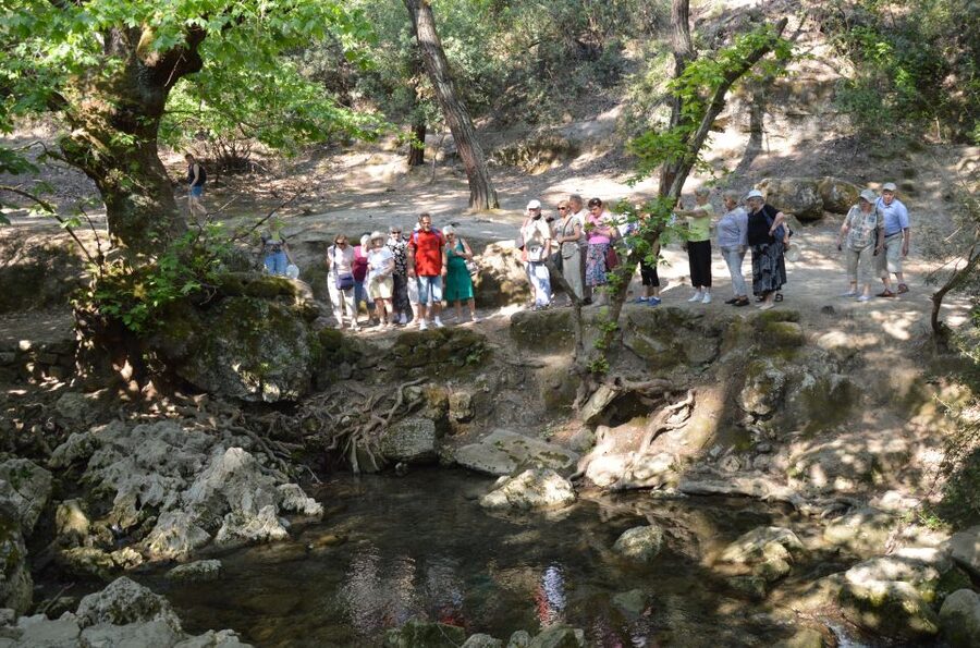From Rhodes: Bus Tour to Lindos and the Seven Springs - Key points before you book