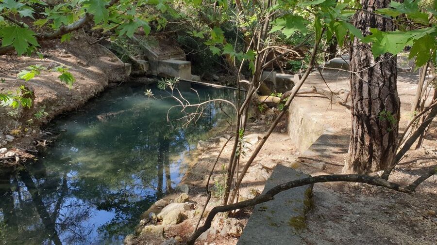 From Rhodes: Lindos and 7 Springs Valley Bus Tour - Seven Springs: cool forest, narrow tunnel