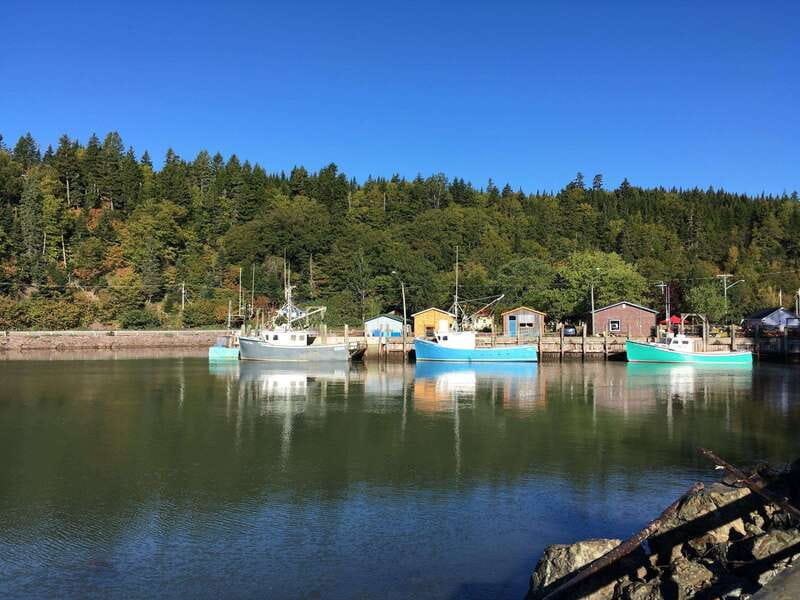 From Saint John: Bay of Fundy Bus Trip for Cruise Passengers - The five things that matter most