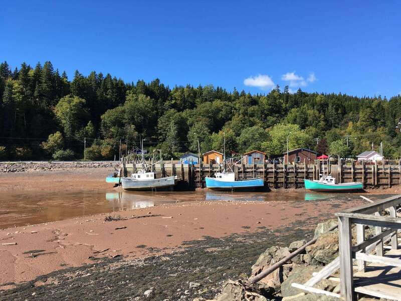 From Saint John: Bay of Fundy Bus Trip for Cruise Passengers - Starting at the Marco Polo Cruise Terminal