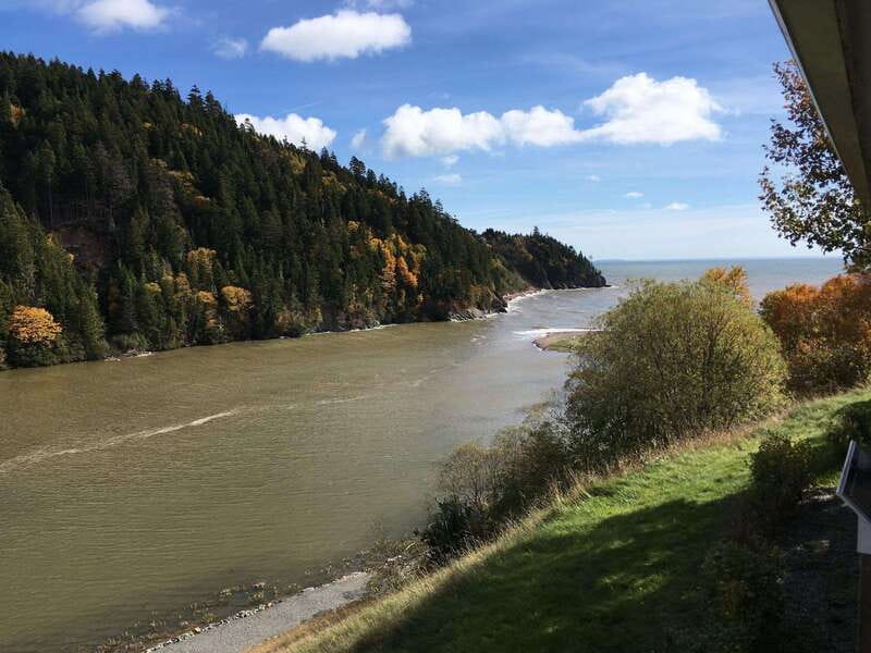 From Saint John: Bay of Fundy Bus Trip for Cruise Passengers - Fort Howe and Carleton Martello Tower