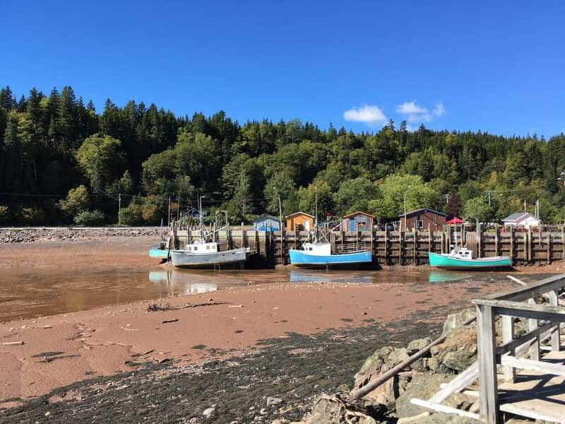 From Saint John: Bay of Fundy Bus Trip for Cruise Passengers - Four hours along the Bay of Fundy