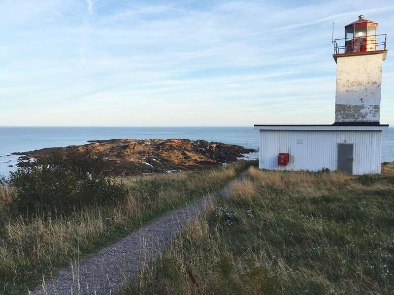 From Saint John: Bay of Fundy Bus Trip for Cruise Passengers - Guide personality is part of the experience