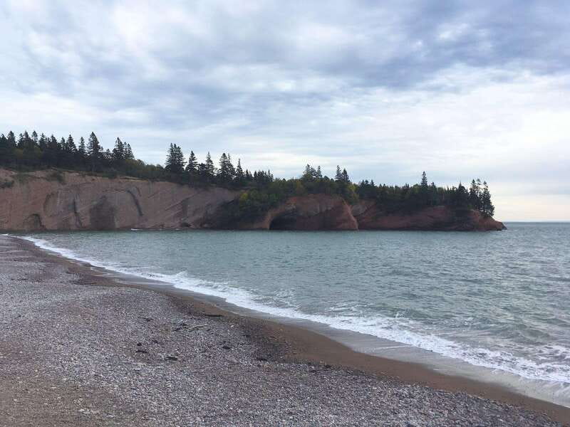 From Saint John: Bay of Fundy Bus Trip for Cruise Passengers - Is $87 good value?