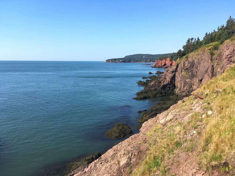 From Saint John: Bay of Fundy Bus Trip for Cruise Passengers - Reversing Falls: Saint John’s moving river