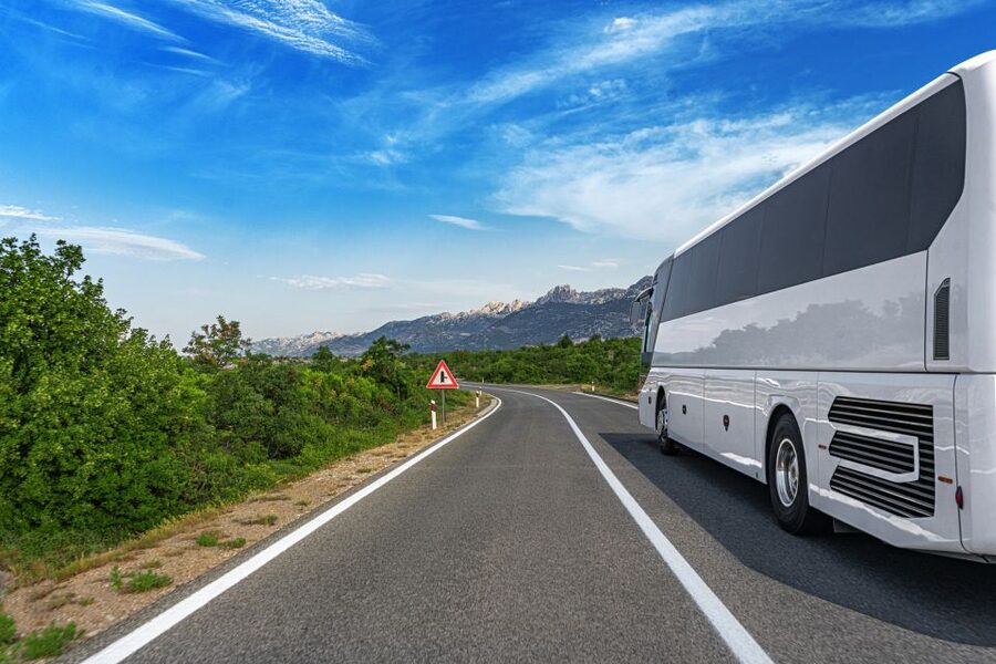 From Skagway: White Pass Summit Guided Bus Tour - Key points to know before booking