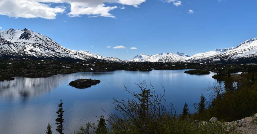 From Skagway: White Pass Summit Guided Bus Tour - Why this is a smart way to see Skagway