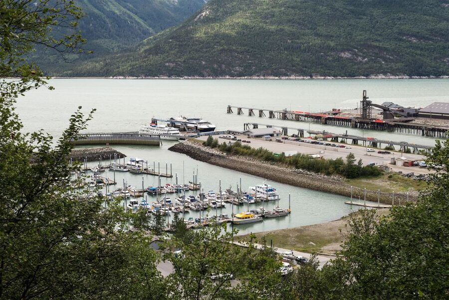 From Skagway: White Pass Summit Guided Bus Tour - The guides are part of the value