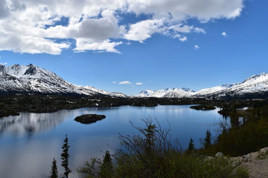 From Skagway: White Pass Summit Guided Bus Tour - Pickup, passports, and what to bring