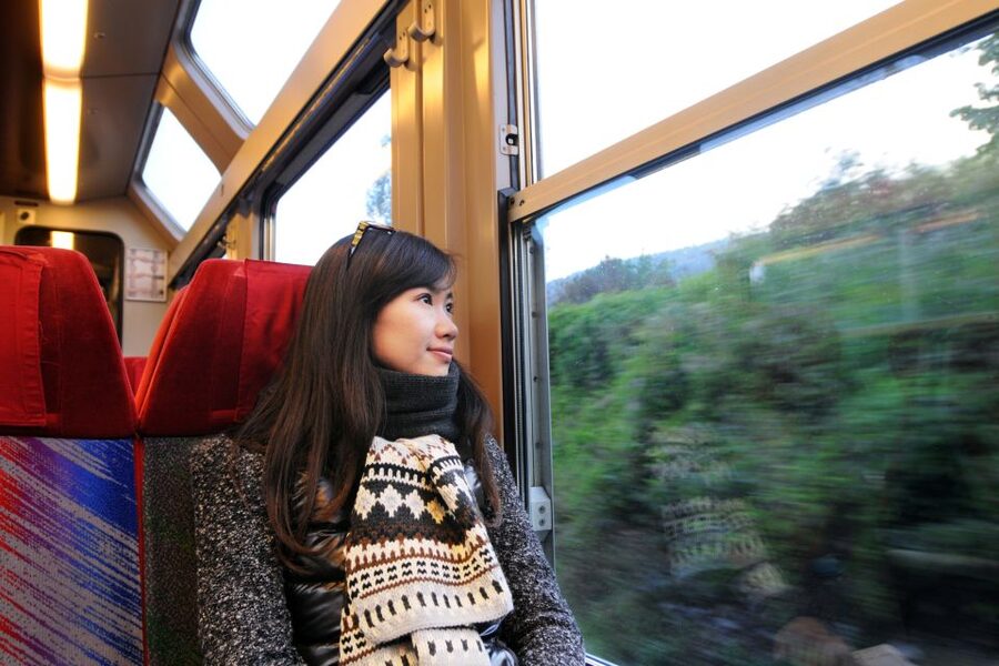 From Skagway: White Pass Summit Guided Bus Tour - Who should book this tour?