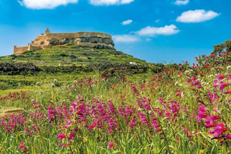From Sliema: Gozo, Comino & The Blue Lagoon Boat & Bus Tour - Comino beyond the lagoon