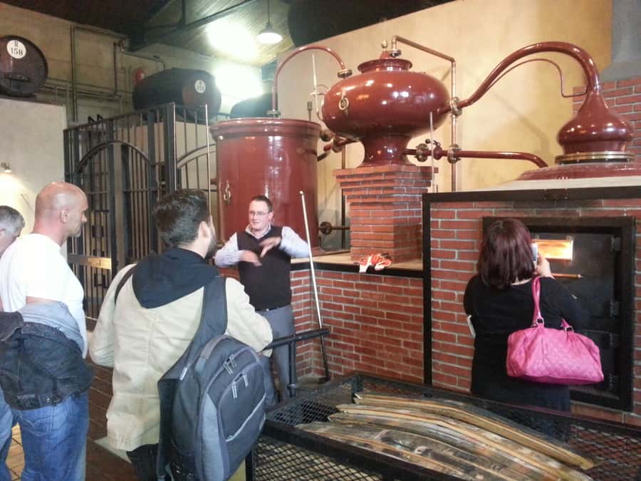 From Stellenbosch: Hop-On Hop-Off Wine Tour Southern Route - Key points at a glance
