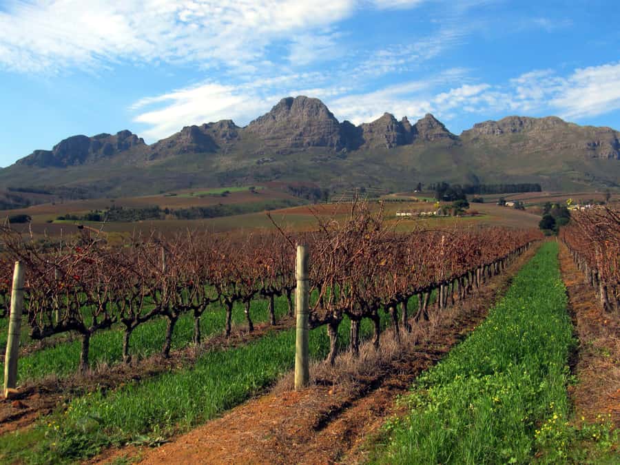 From Stellenbosch: Hop-On Hop-Off Wine Tour Southern Route - Why the Southern Route is a good fit