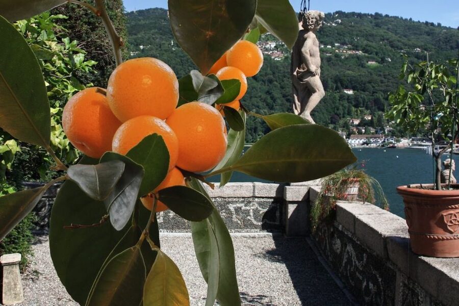 From Stresa: 2 Borromean Islands Hop-on Hop-off Boat Tour - Boat comfort, boarding, and practical limits