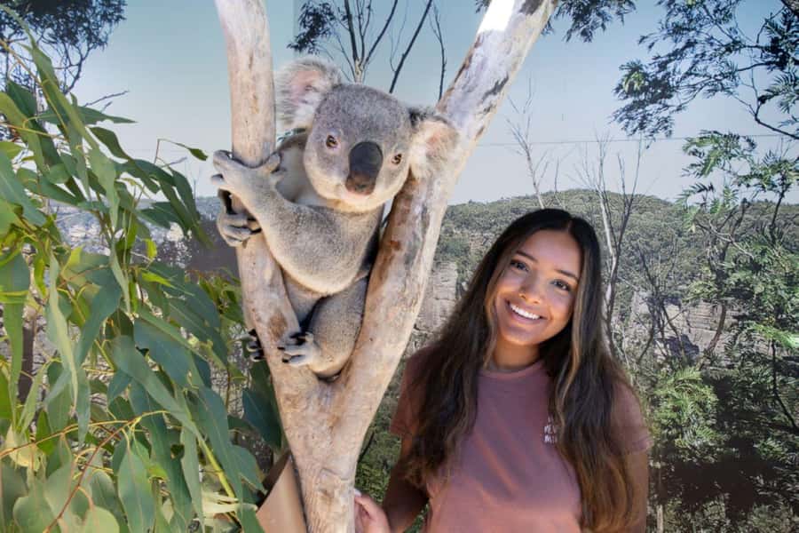 From Sydney: Blue Mountains Day Tour & Hop-on, Hop-off Tour - Starting at Central Station before the city wakes up