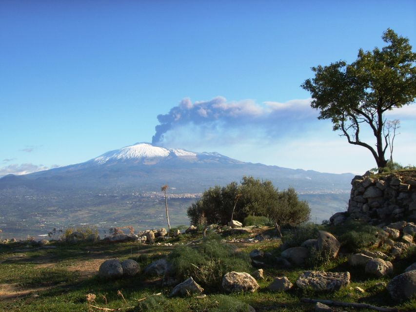 From Taormina: Mount Etna Guided Bus Tour - What the $57 price really covers