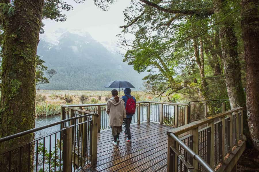 From Te Anau: Milford Sound Coach Tour and Cruise - Key points to know before booking
