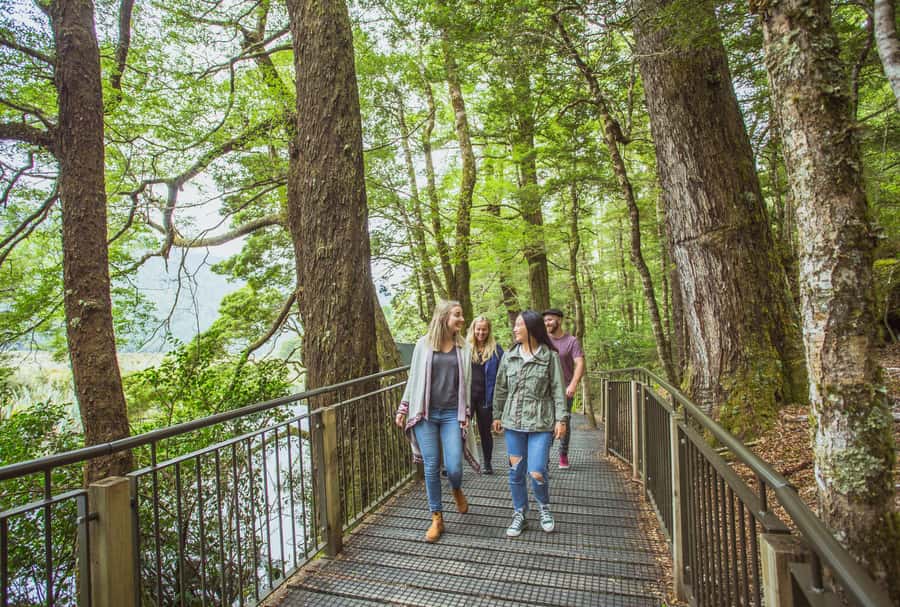 From Te Anau: Milford Sound Coach Tour and Cruise - Who will enjoy this most
