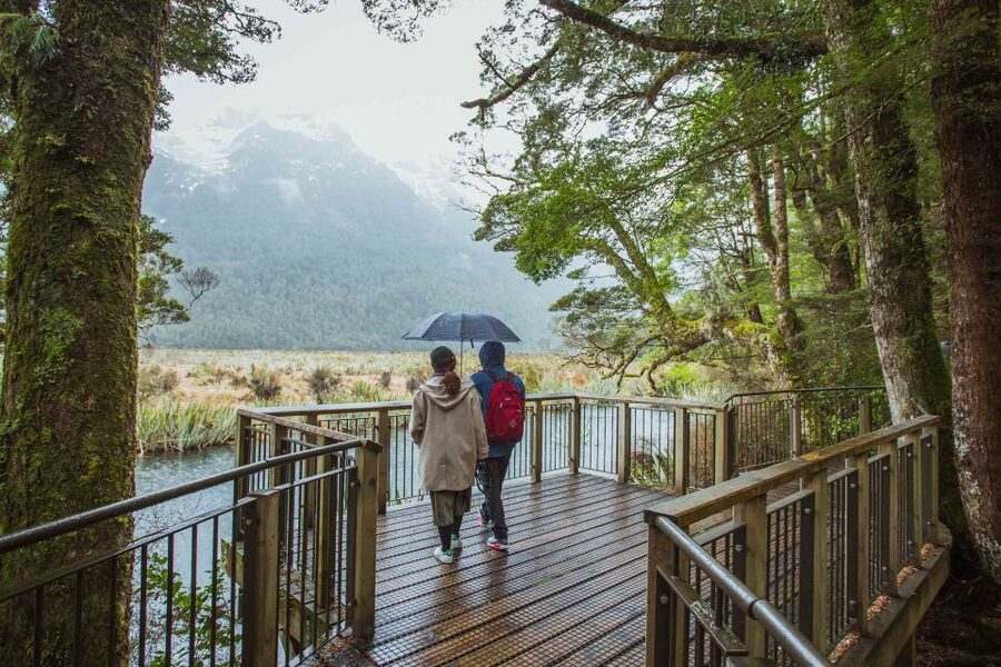 From Te Anau: Milford Sound Coach Tour and Cruise - Boarding the catamaran at Milford Sound