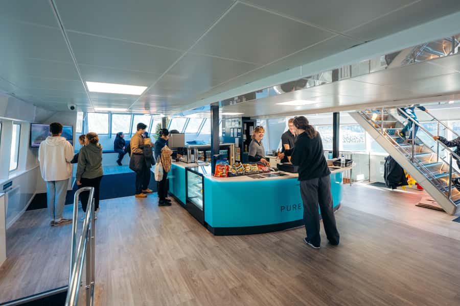 From Te Anau: Milford Sound Coach Tour and Cruise - Lunch and onboard comforts