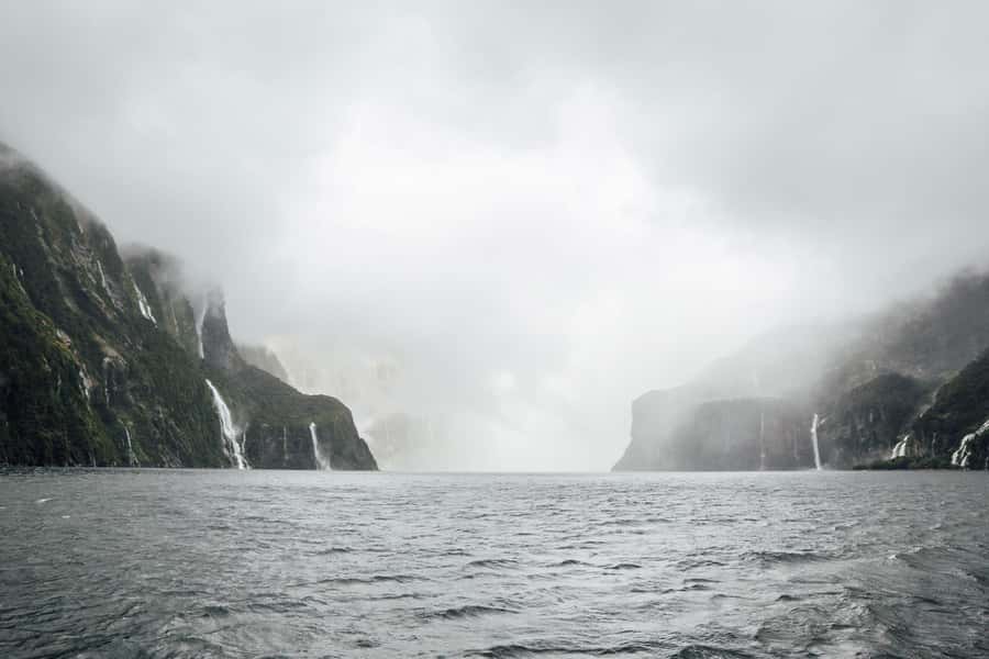 From Te Anau: Milford Sound Coach Tour and Cruise - The value of the $110 price