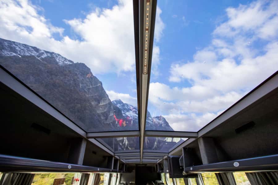 From Te Anau: Milford Sound Cruise & Glass-Roof Coach Tour - Five details that shape the day