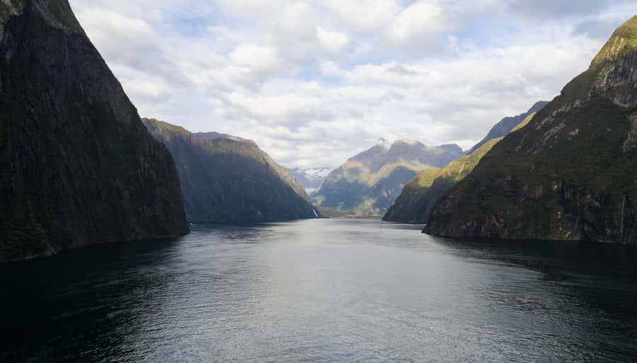 From Te Anau: Milford Sound Cruise & Glass-Roof Coach Tour - Who should book this Milford Sound day trip?