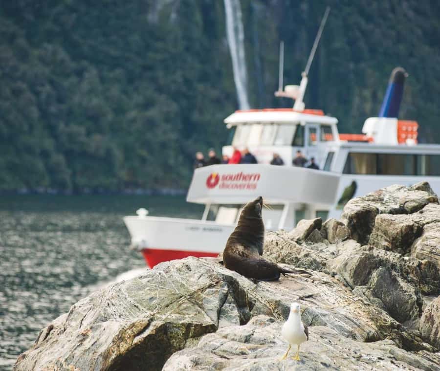 From Te Anau: Milford Sound Extended Cruise and Coach Tour - Leaving Te Anau for the Milford Road