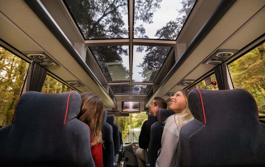 From Te Anau: Milford Sound Premium Bus Tour and Cruise - Why the Te Anau departure makes sense