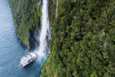 From Te Anau: Milford Sound Premium Bus Tour and Cruise