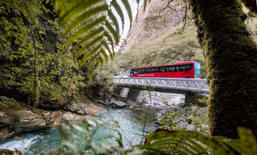 From Te Anau: Milford Sound Premium Bus Tour and Cruise - The two-hour Milford Sound nature cruise