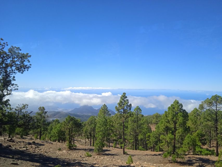 From Tenerife: Teide National Park Guided Day Trip by Bus - What the Teide trip is really like