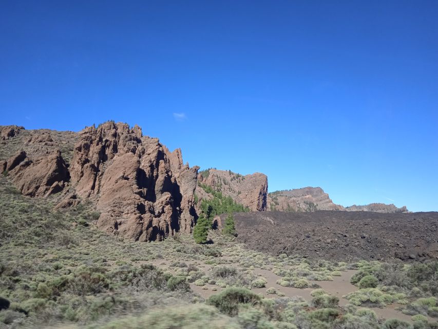 From Tenerife: Teide National Park Guided Day Trip by Bus - Who will enjoy this bus excursion most
