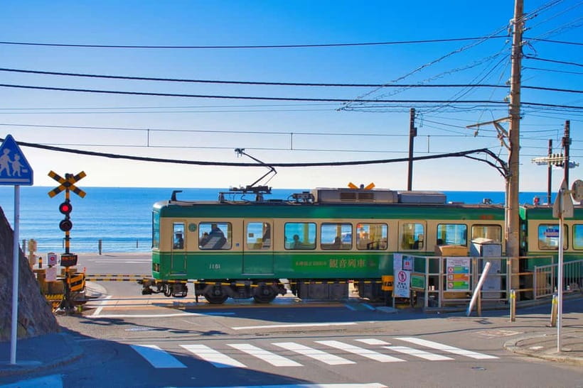 From Tokyo: Kamakura, Great Buddha, and Enoshima Bus Tour - Key points to know before booking