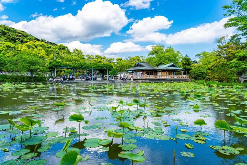 From Tokyo: Kamakura, Great Buddha, and Enoshima Bus Tour - Asakusa brings you back to old Tokyo
